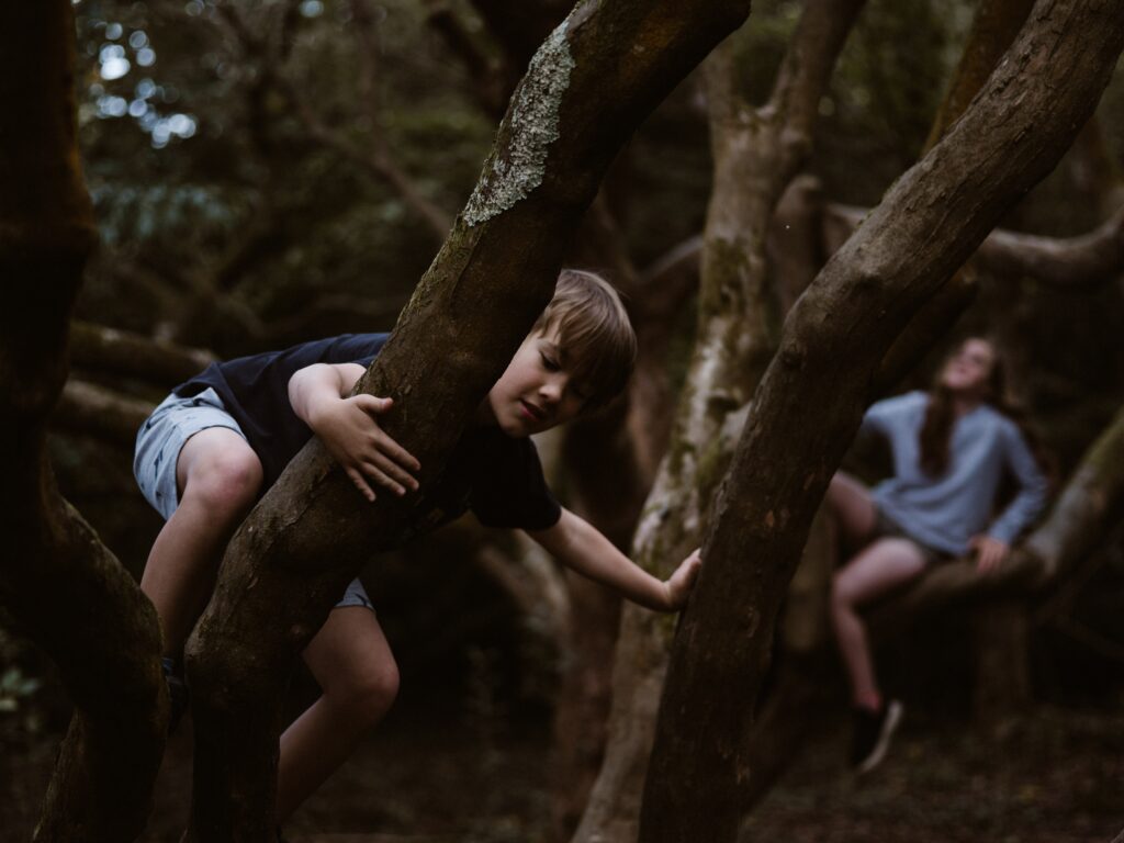 bambino su un albero