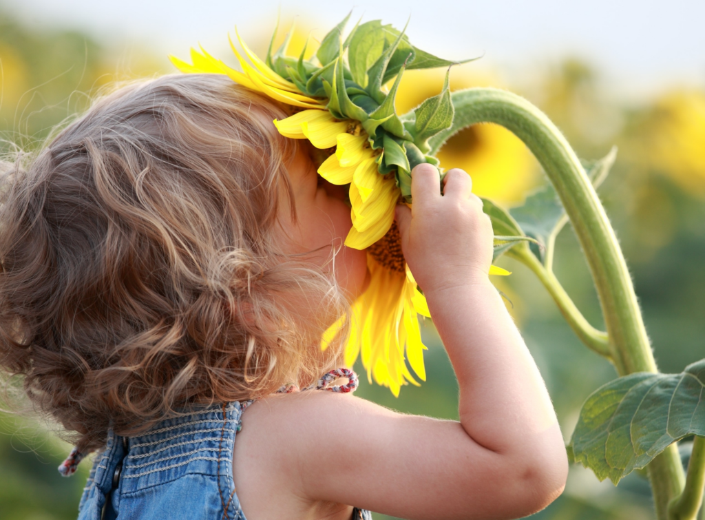 Montessori natura