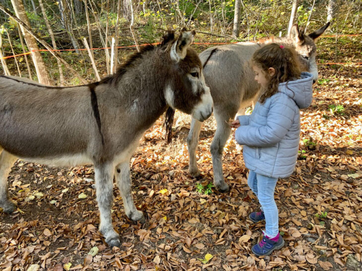 Empatia bambini